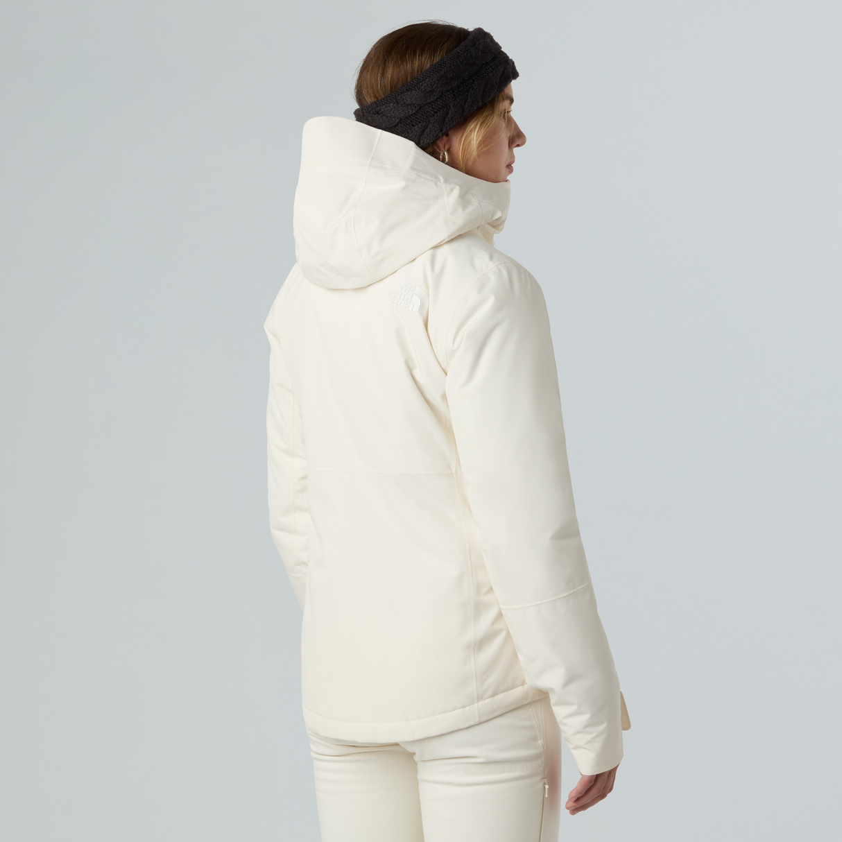 tnf_asset:NF0A8DDTQLI-ALT2
