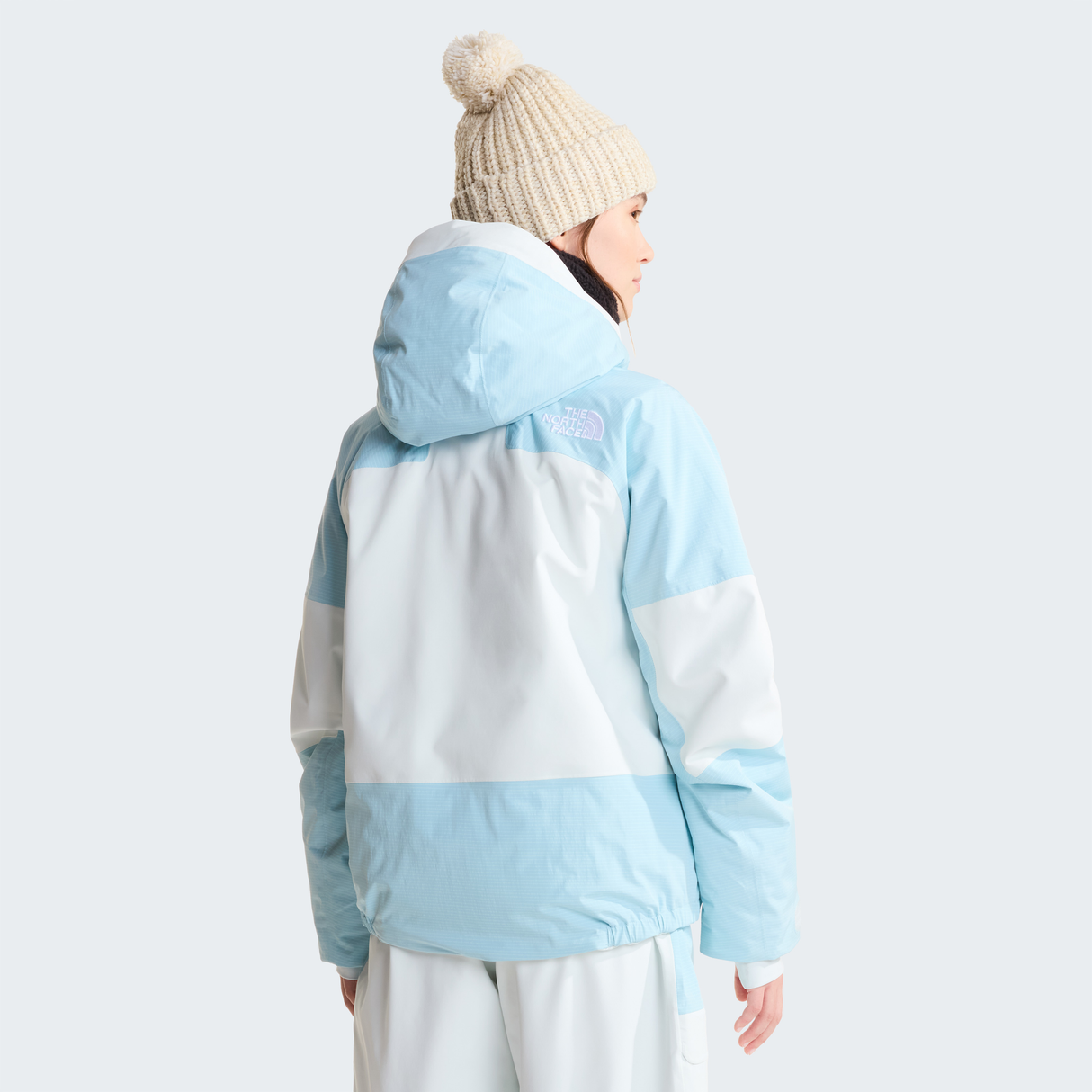 tnf_asset:NF0A8H2NS4C-ALT3