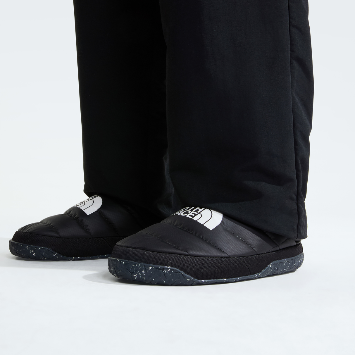 tnf_asset:NF0A5G2FKY4-ALT2