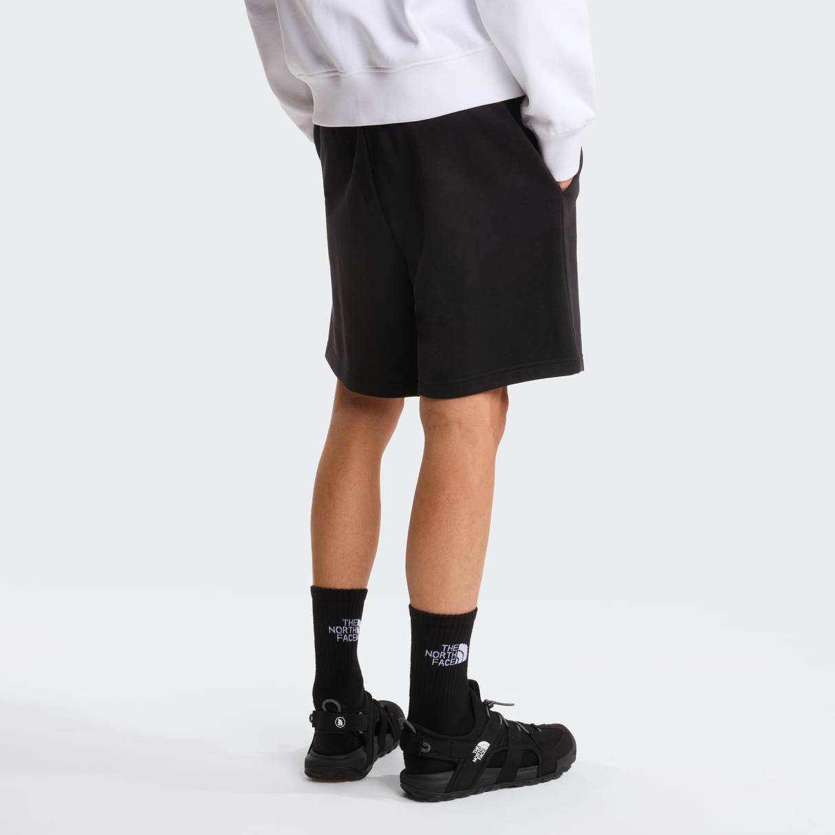 tnf_asset:NF0A8GQ8JK3-ALT3