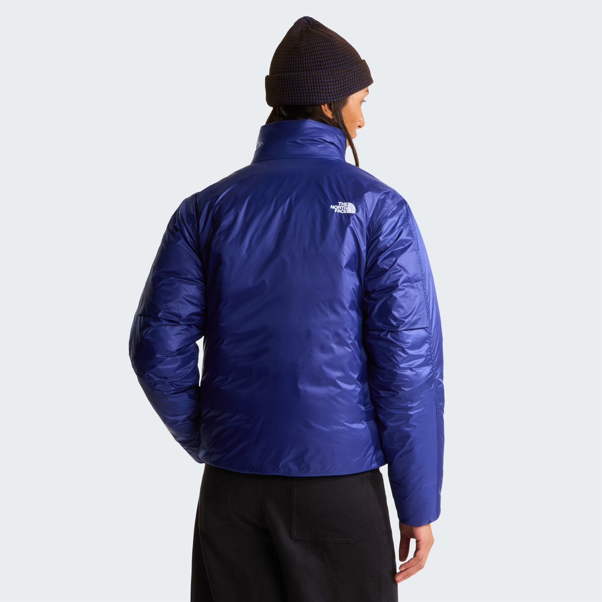 tnf_asset:NF0A8H1ENLV-ALT3