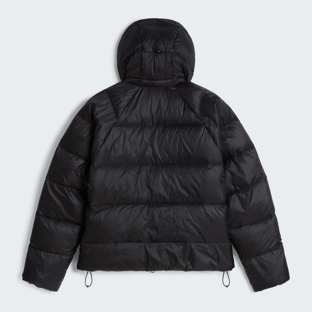 tnf_asset:NF0A8D3JJK3-ALT1
