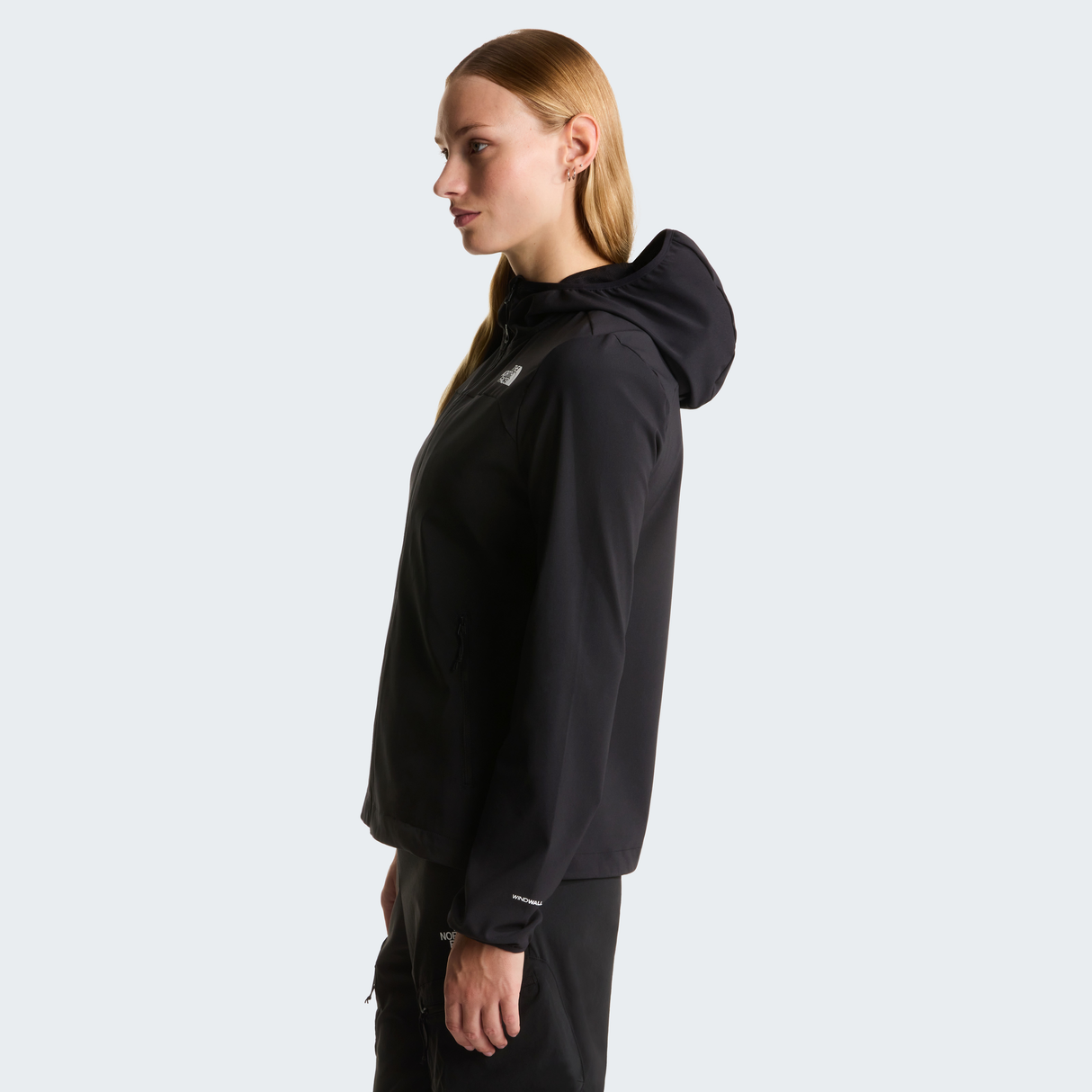 tnf_asset:NF0A8G15JK3-ALT2