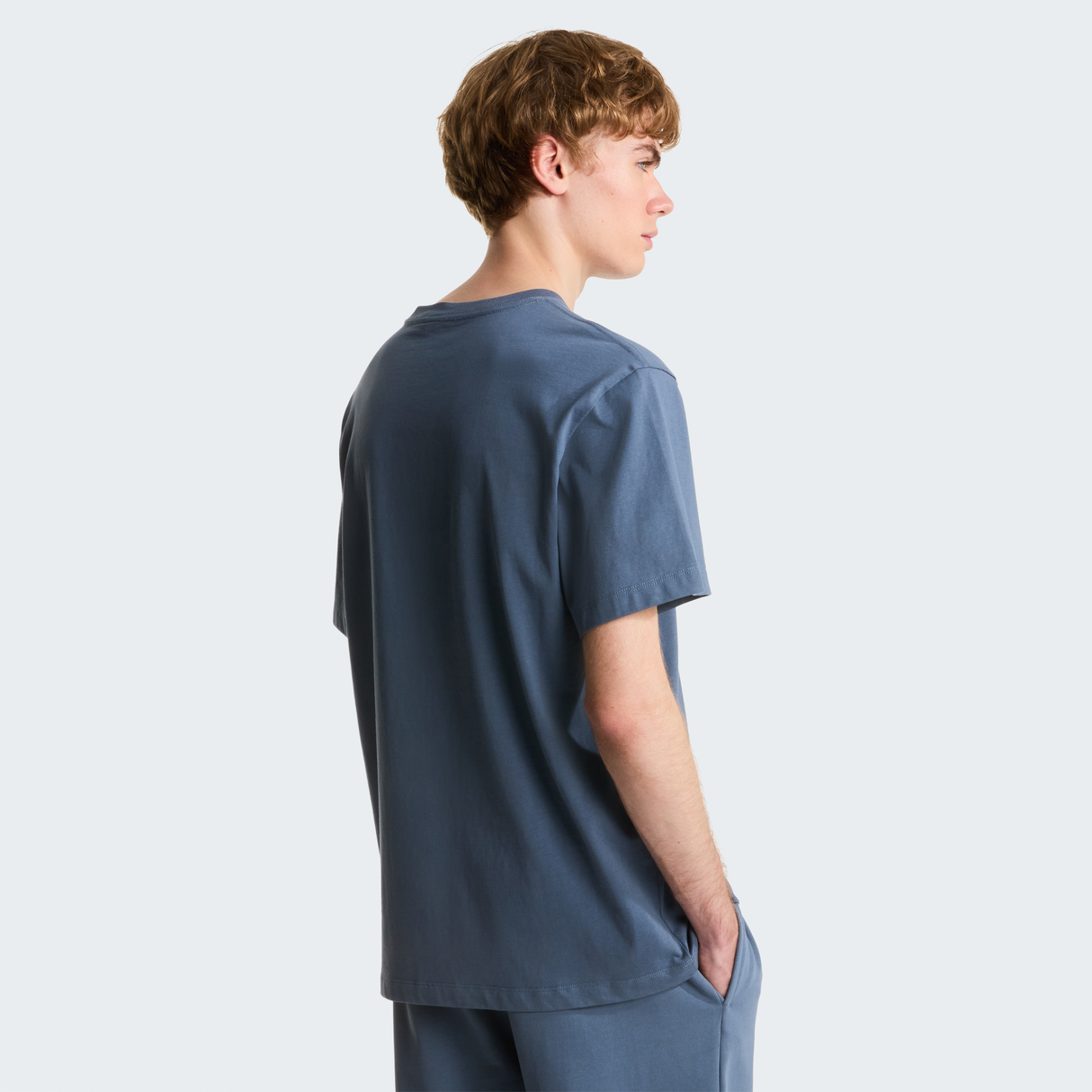 tnf_asset:NF0A8GQE0U3-ALT3