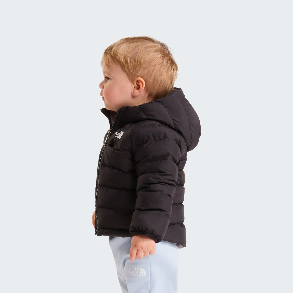 tnf_asset:NF0A88W3WOO-ALT3
