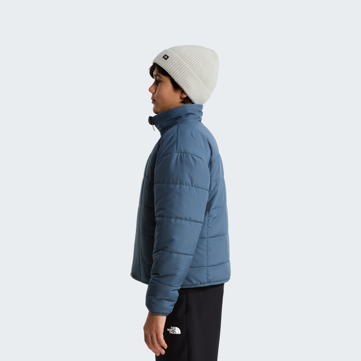 tnf_asset:NF0A88UC0U3-ALT3
