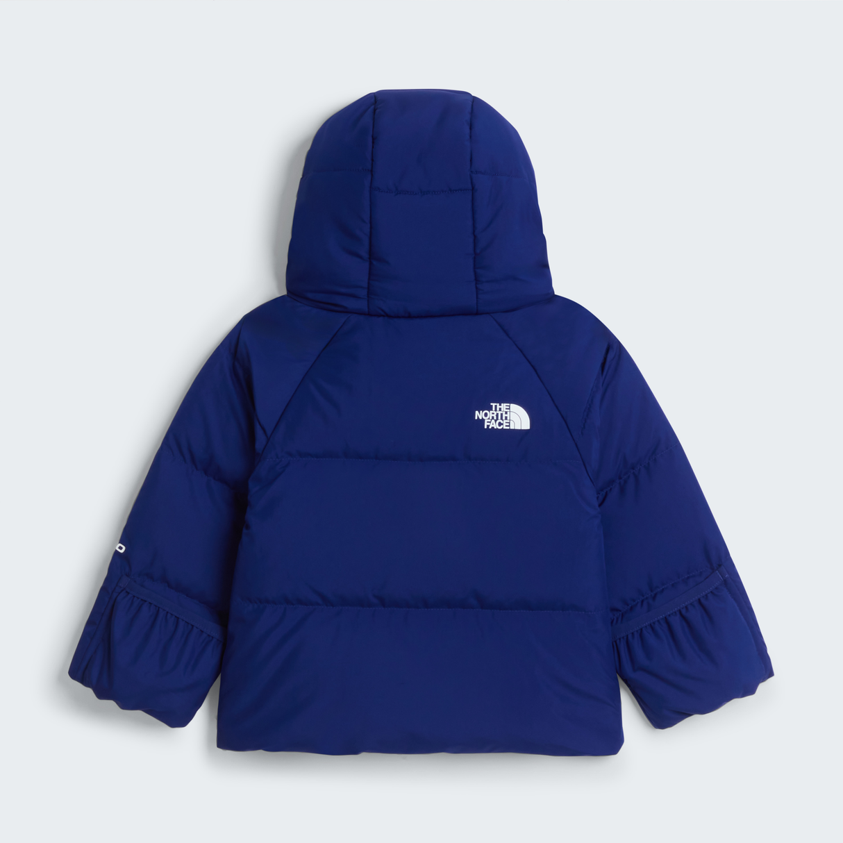 tnf_asset:NF0A88W2NLV-ALT1