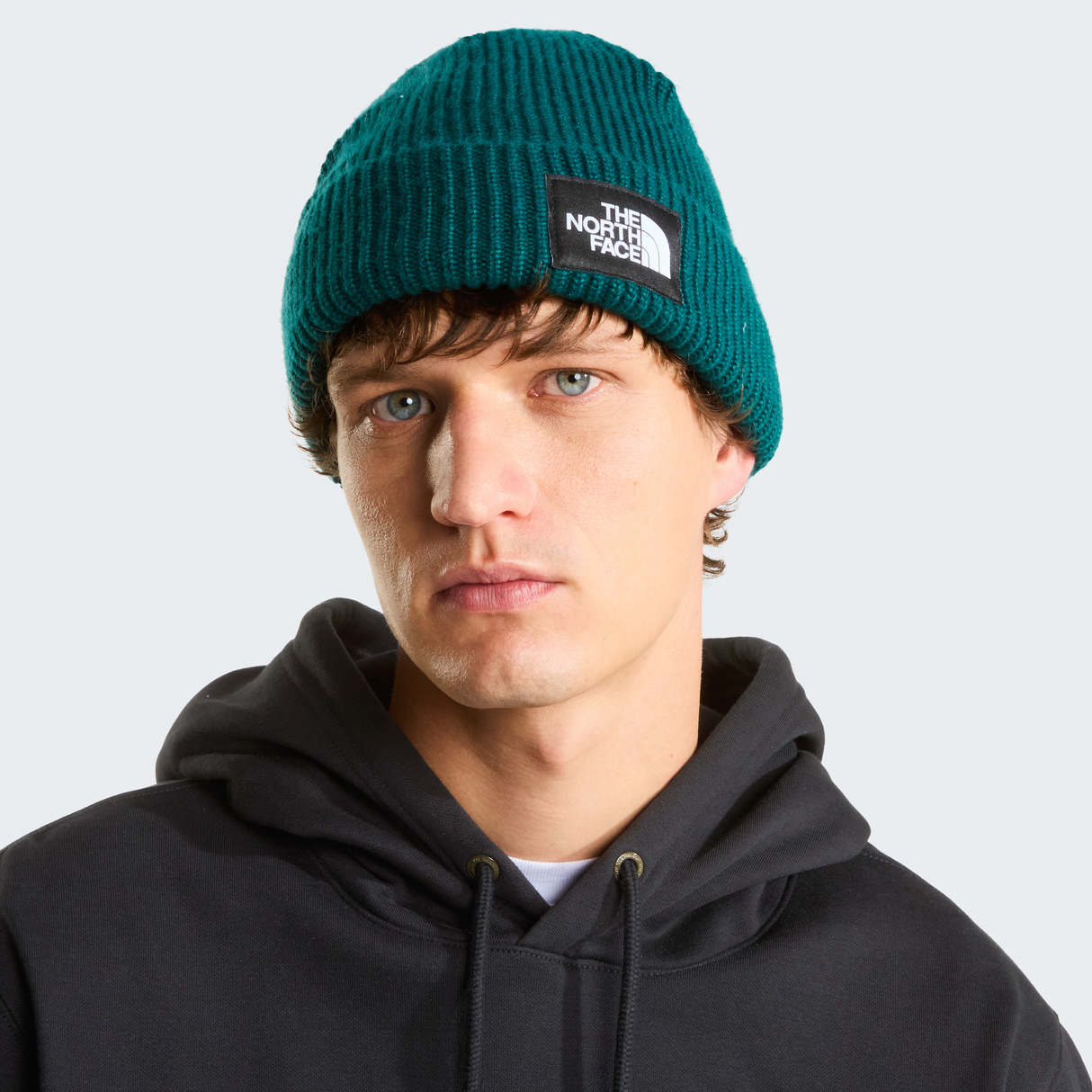 tnf_asset:NF0A8CGZN4J-ALT1