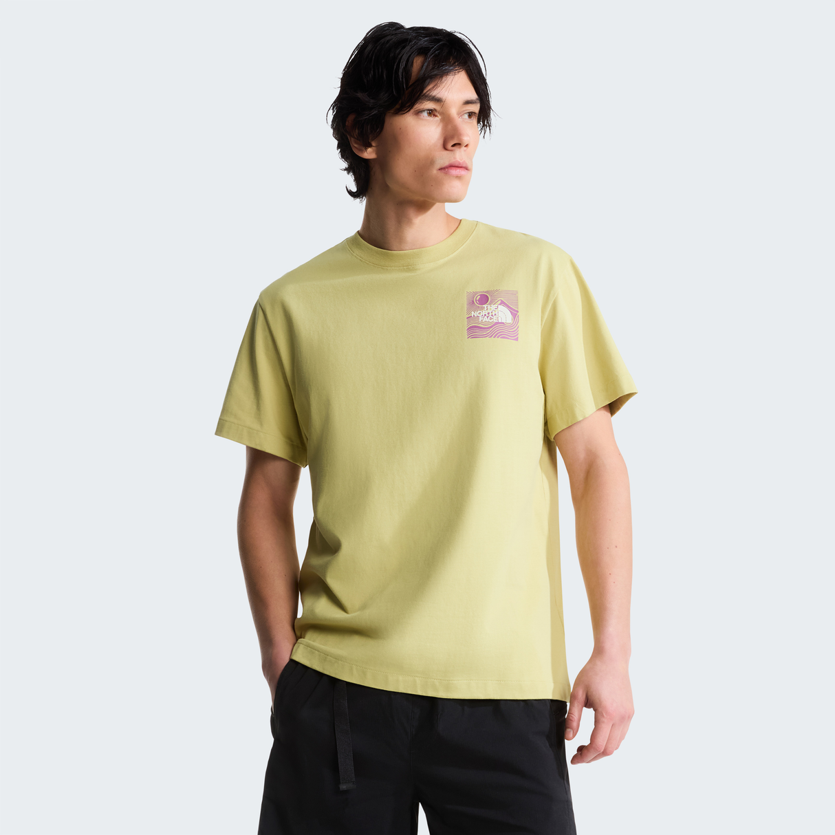 tnf_asset:NF0A8GB1G73-ALT3