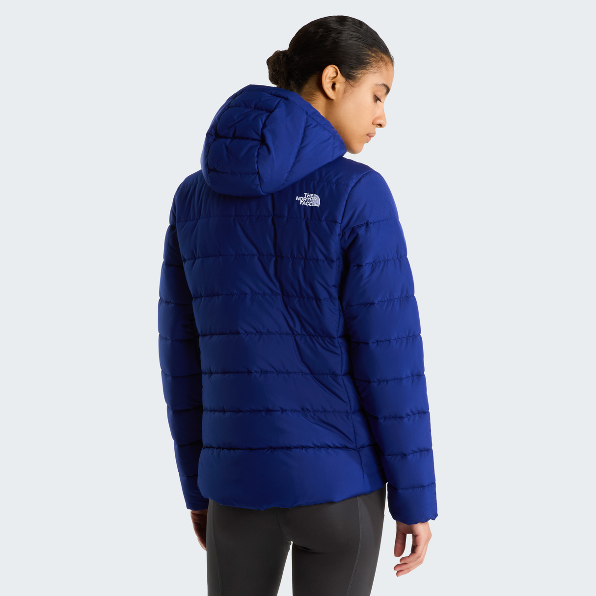 tnf_asset:NF0A8H1BNLV-ALT3