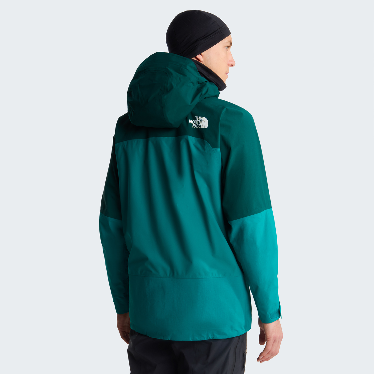 tnf_asset:NF0A8C9ASE4-ALT3