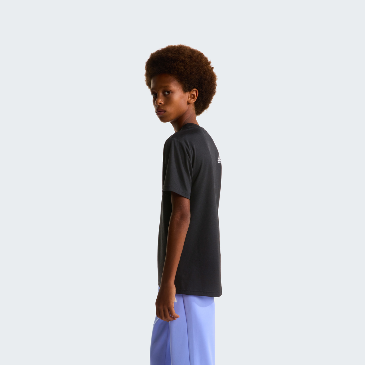 tnf_asset:NF0A8EB3JK3-ALT2