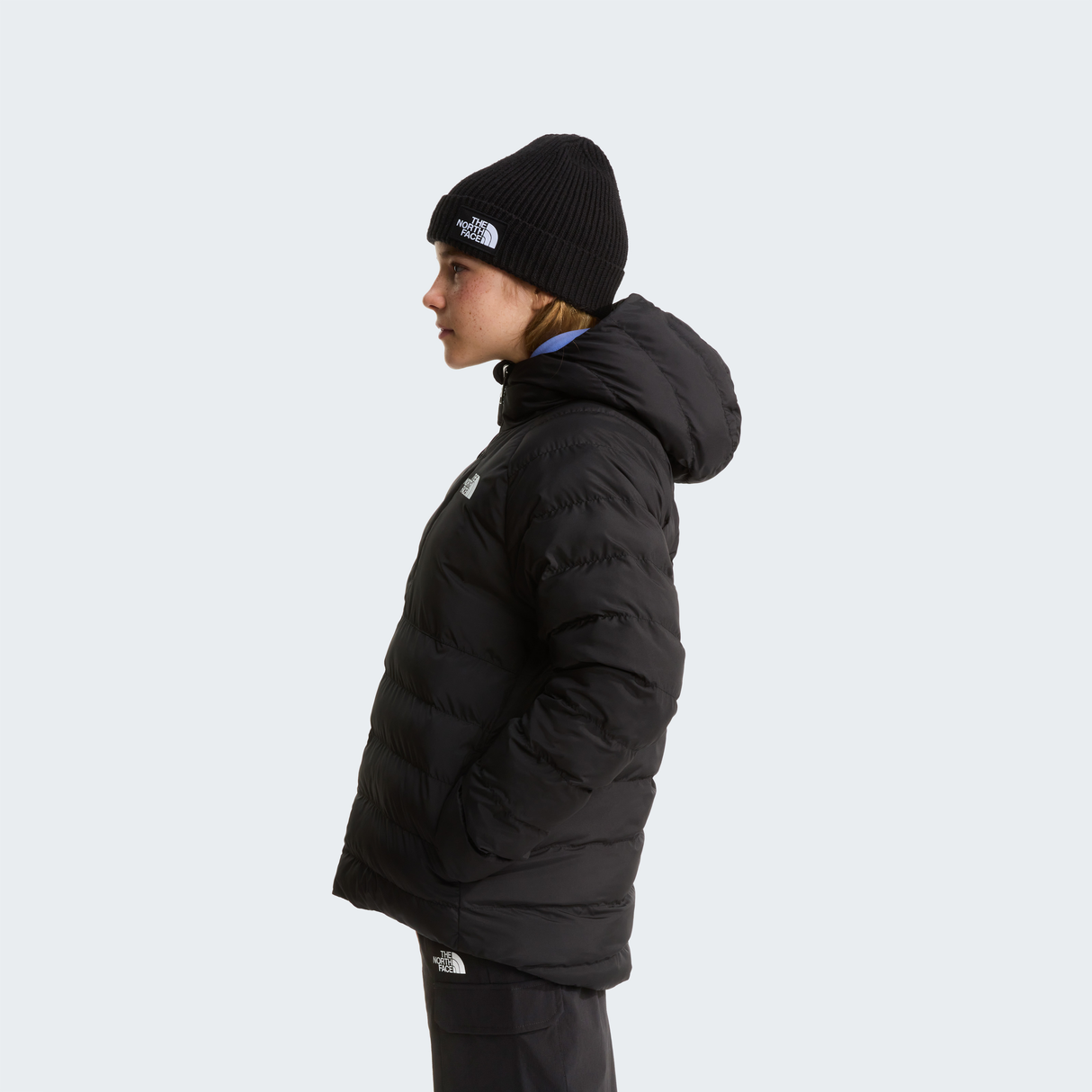 tnf_asset:NF0A88UEWOO-ALT2