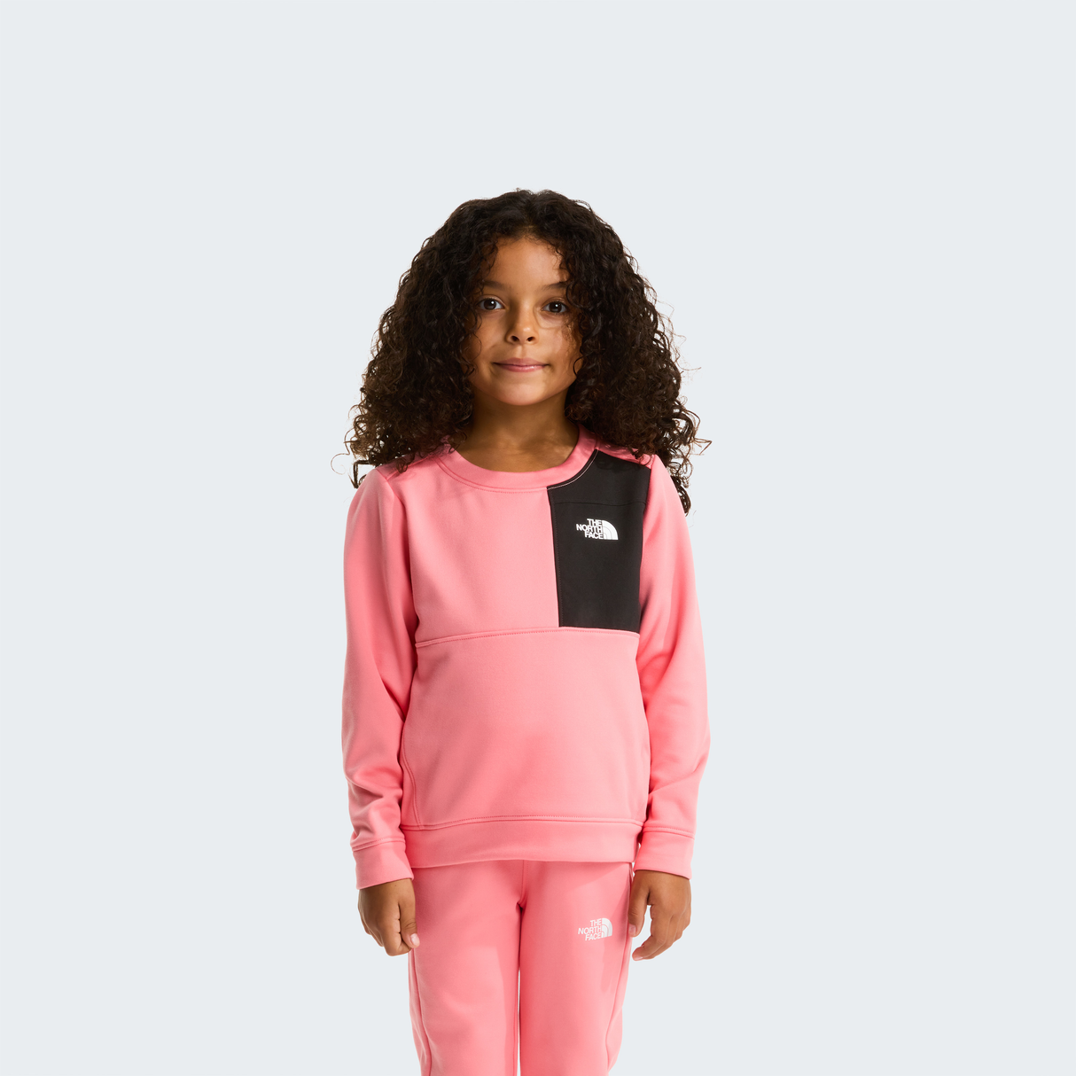 tnf_asset:NF0A8CV0G52-ALT2
