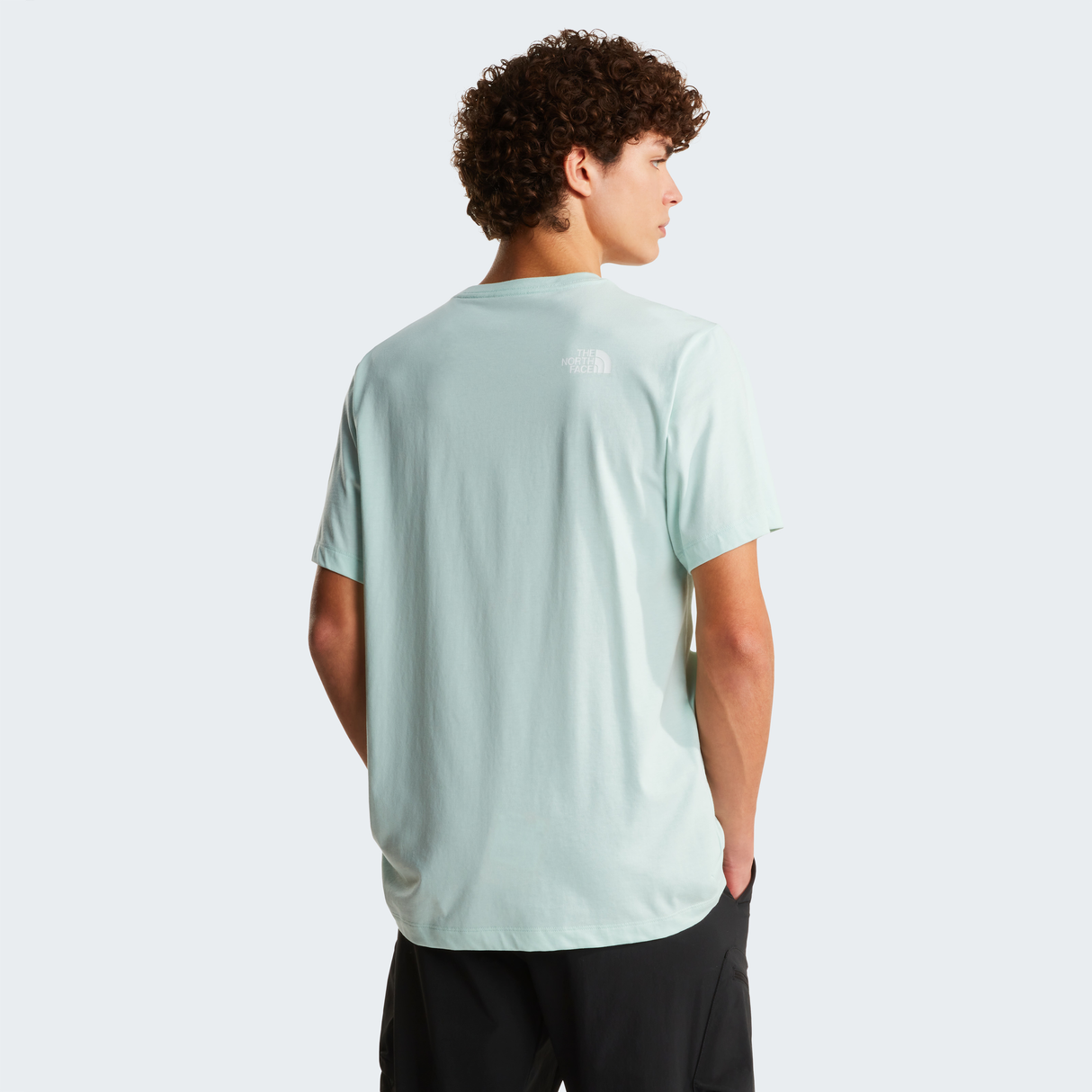 tnf_asset:NF0A8B6JG70-ALT3