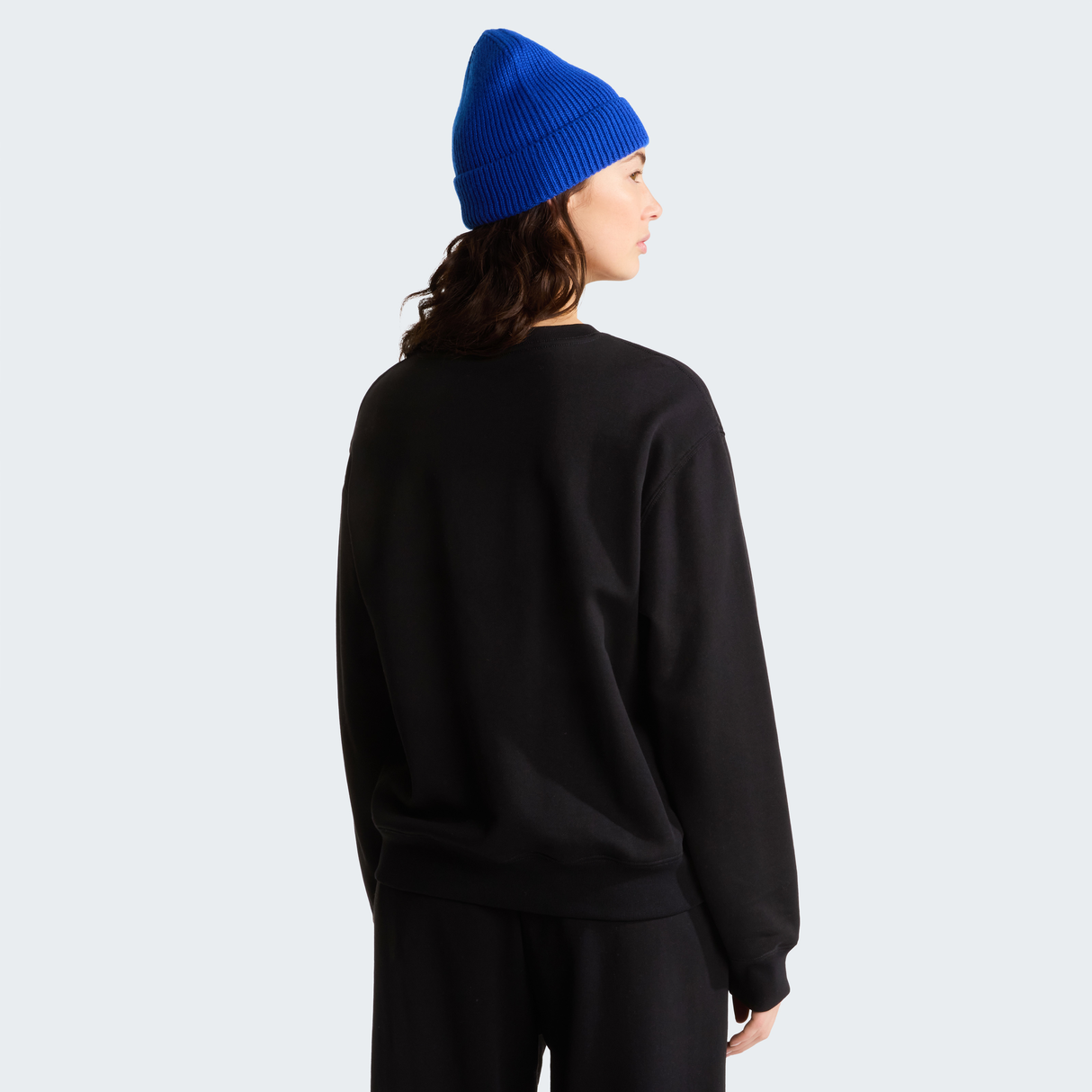 tnf_asset:NF0A8FXDJK3-ALT3
