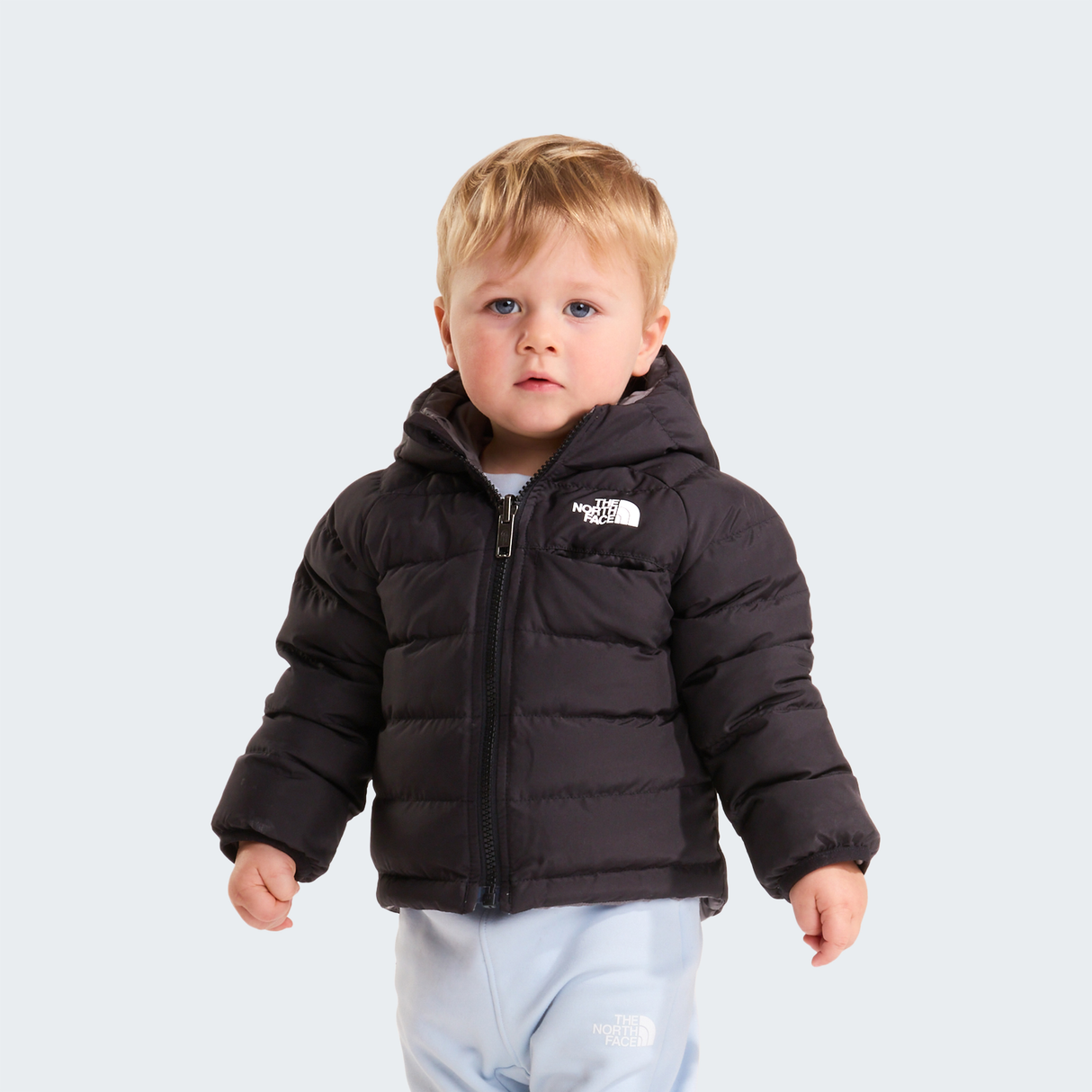 tnf_asset:NF0A88W3WOO-HERO