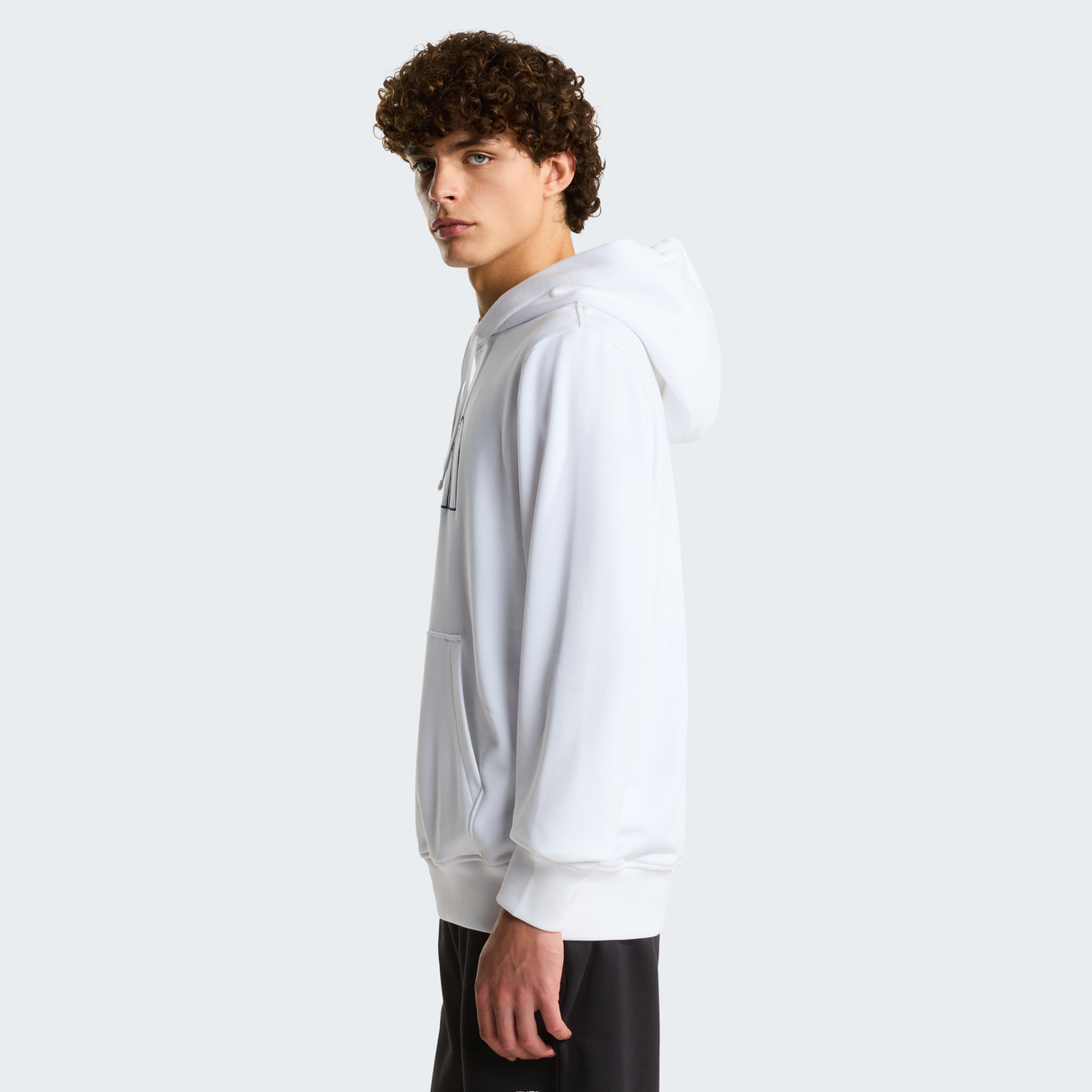 tnf_asset:NF0A8C1BYBO-ALT2