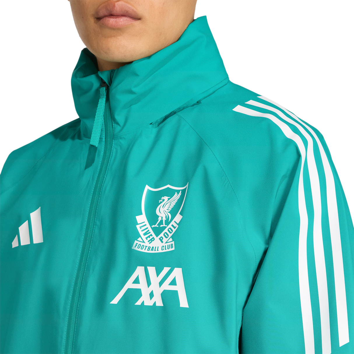 ADIDAS - Liverpool Fc 25/26 European Rain Jacket - Uomo - Black - image 7