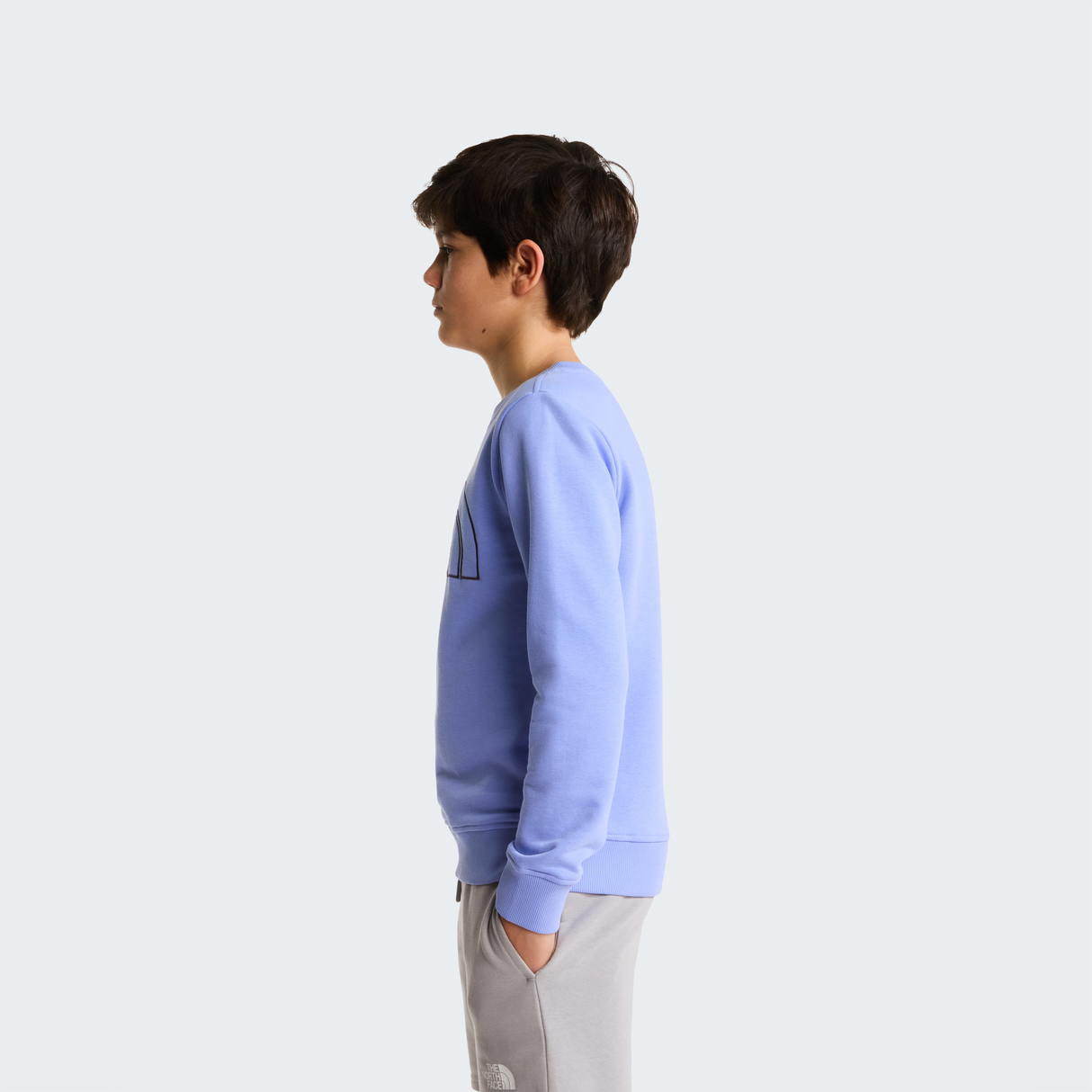 tnf_asset:NF0A8AXXG74-ALT2