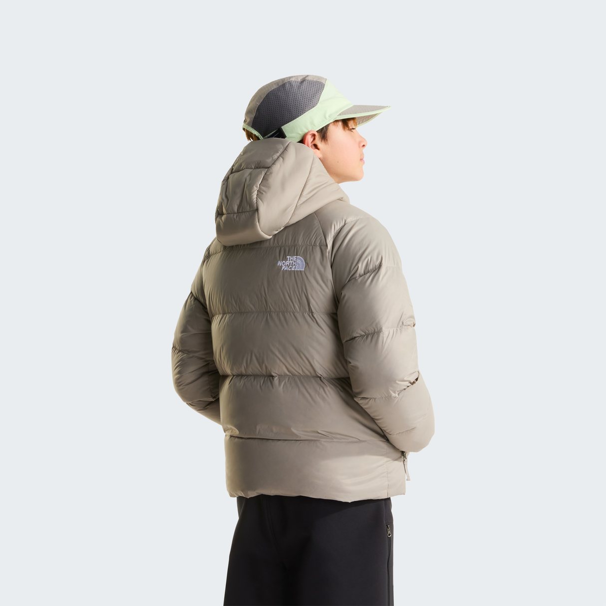 tnf_asset:NF0A8H3R2MB-ALT3