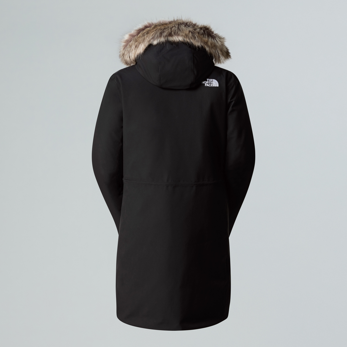 tnf_asset:NF0A84J24H0-ALT1