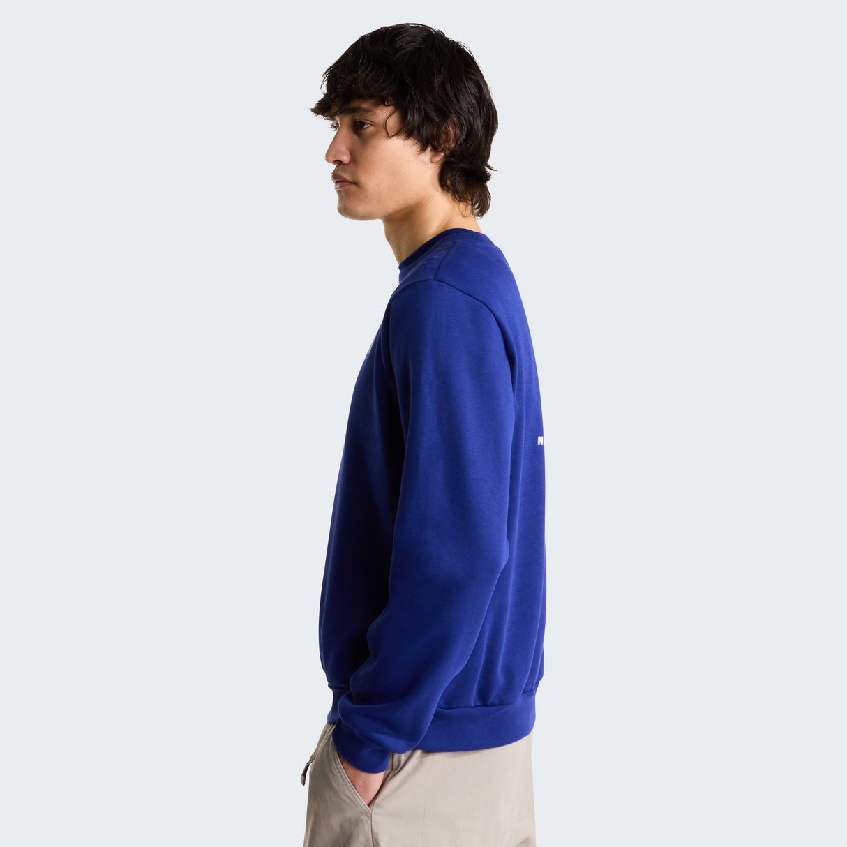 tnf_asset:NF0A8FD3NLV-ALT3