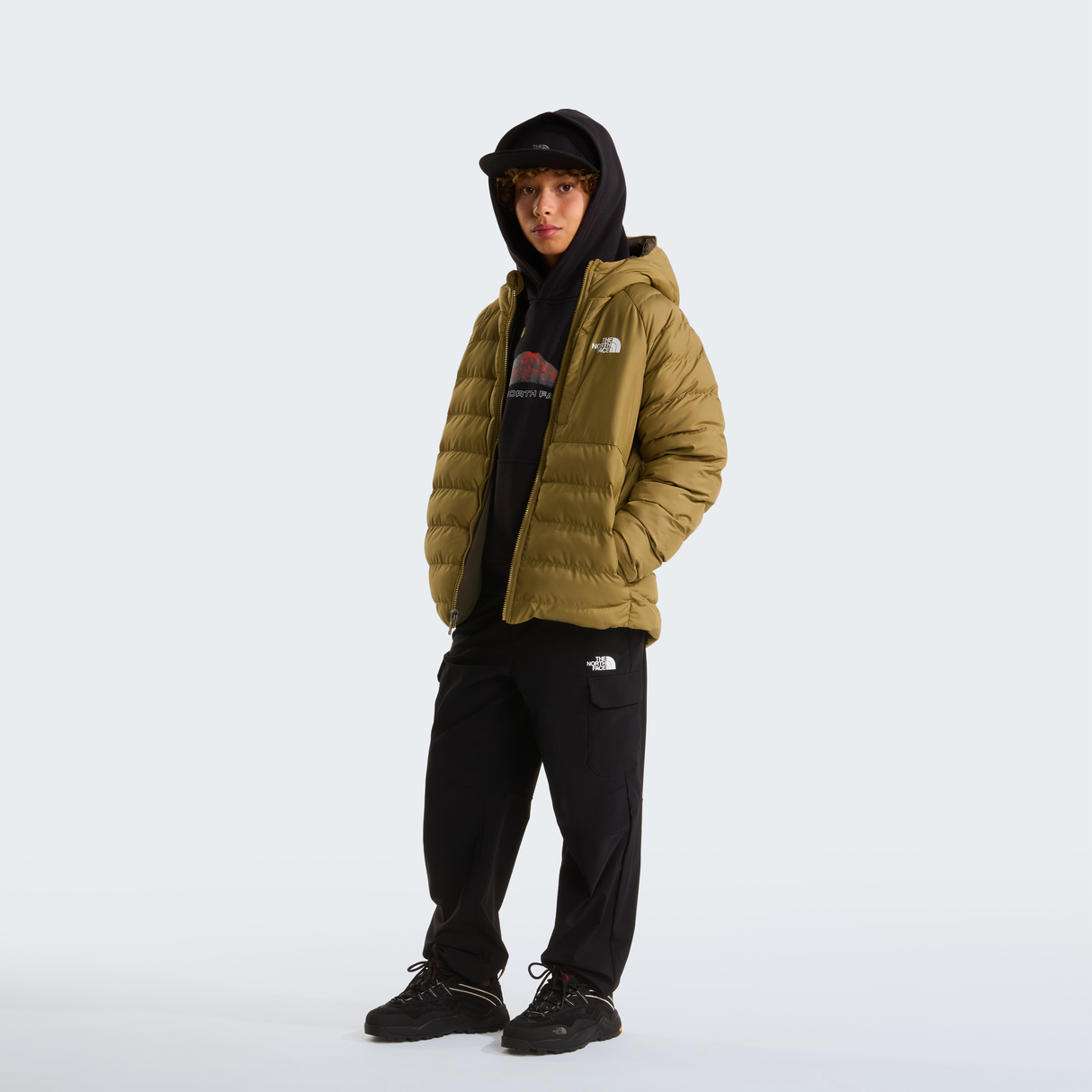 tnf_asset:NF0A88TWJV4-ALT1
