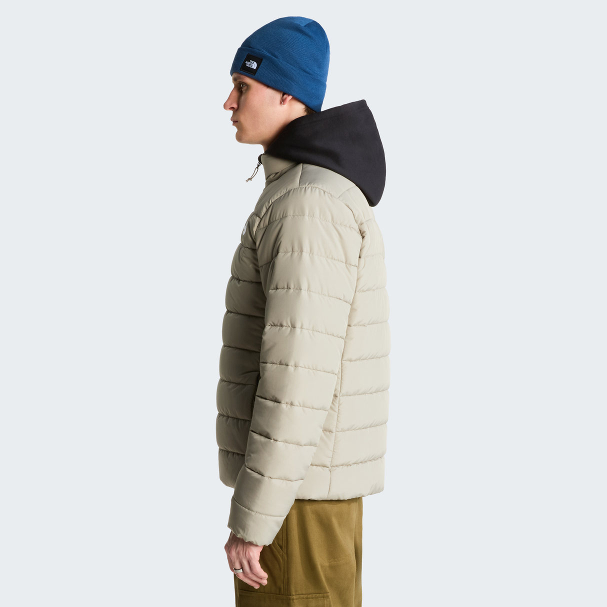 tnf_asset:NF0A8H0M2MB-ALT2