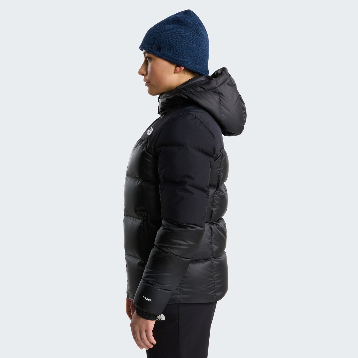 tnf_asset:NF0A8E13PH5-ALT2