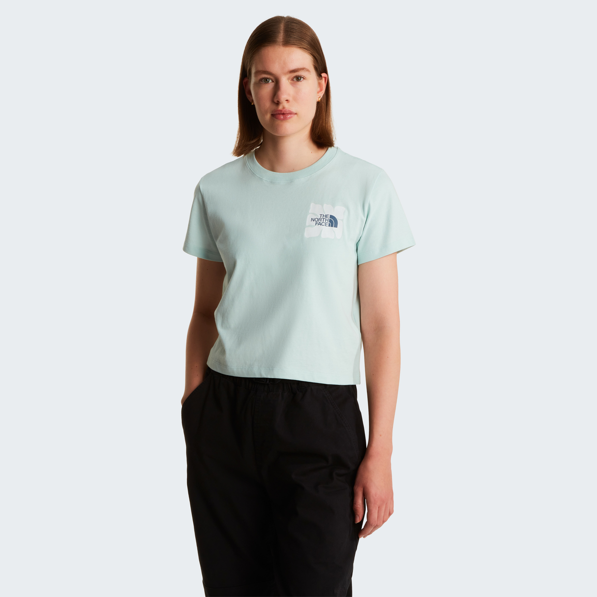 tnf_asset:NF0A8GQSG70-ALT1