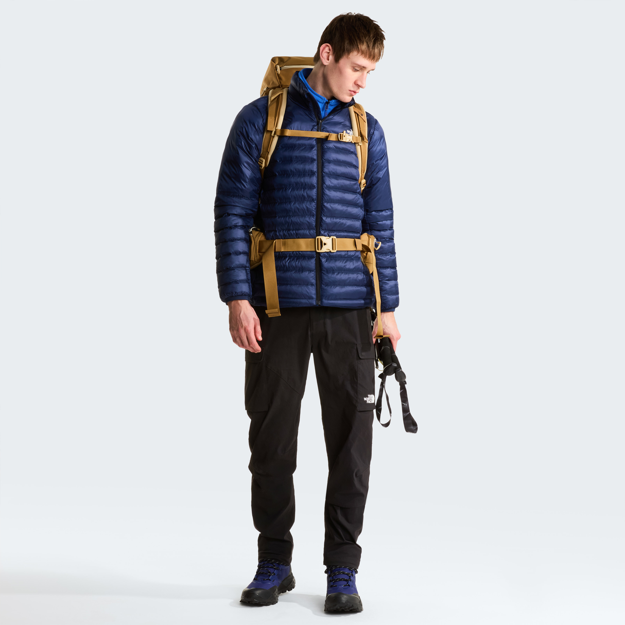 tnf_asset:NF0A8AETRF2-ALT3