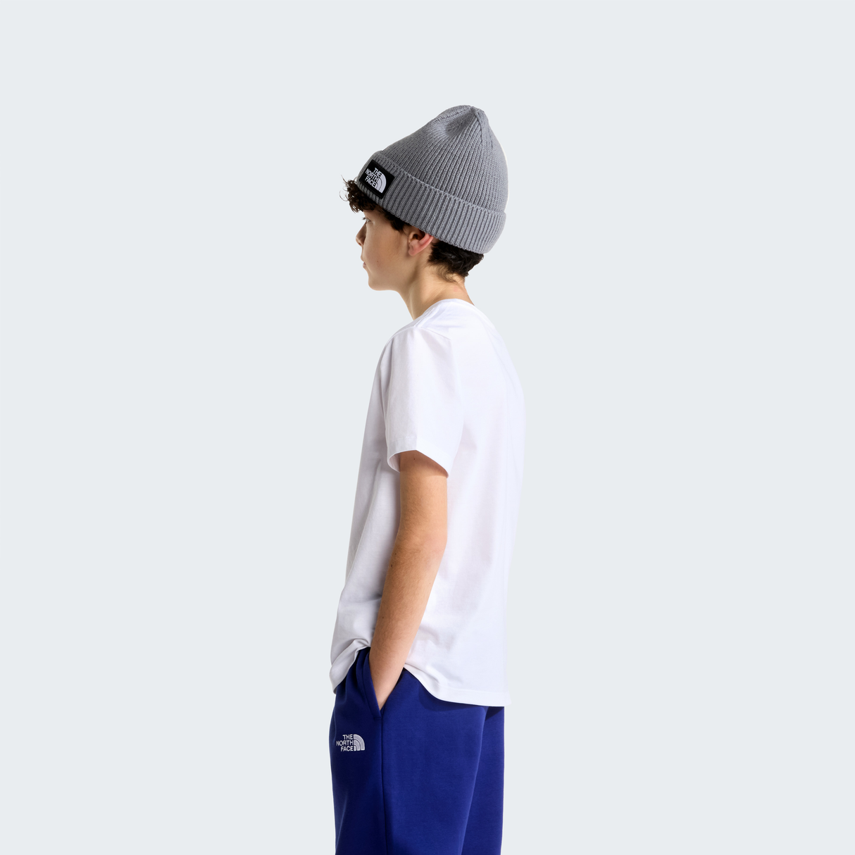 tnf_asset:NF0A8F9ZFN4-ALT2