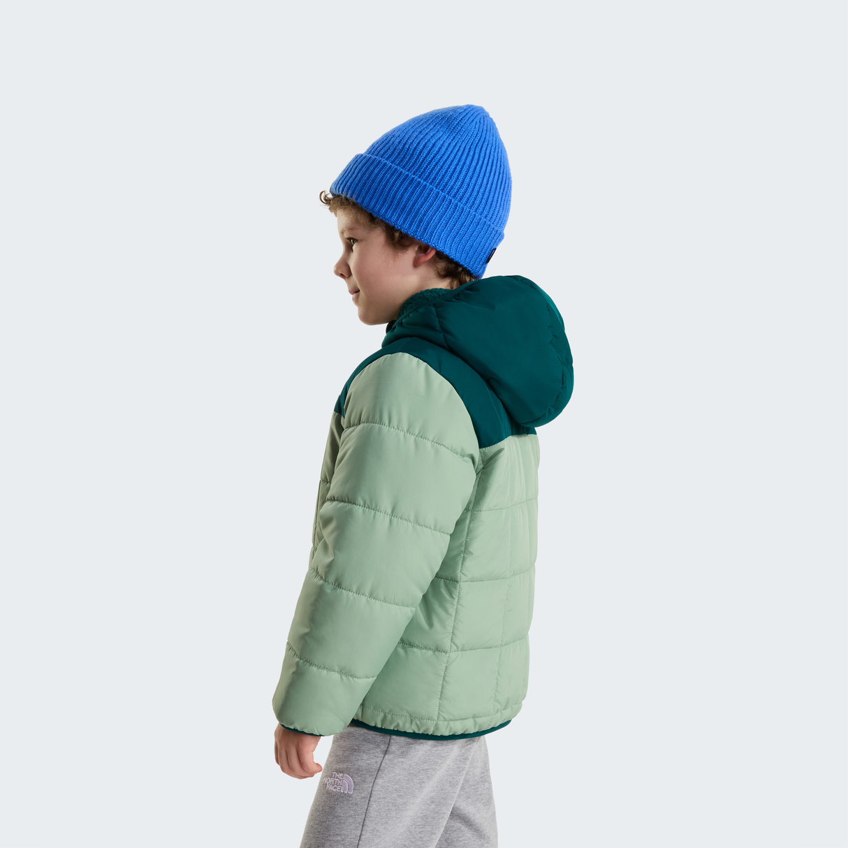 tnf_asset:NF0A88VHSHE-ALT3