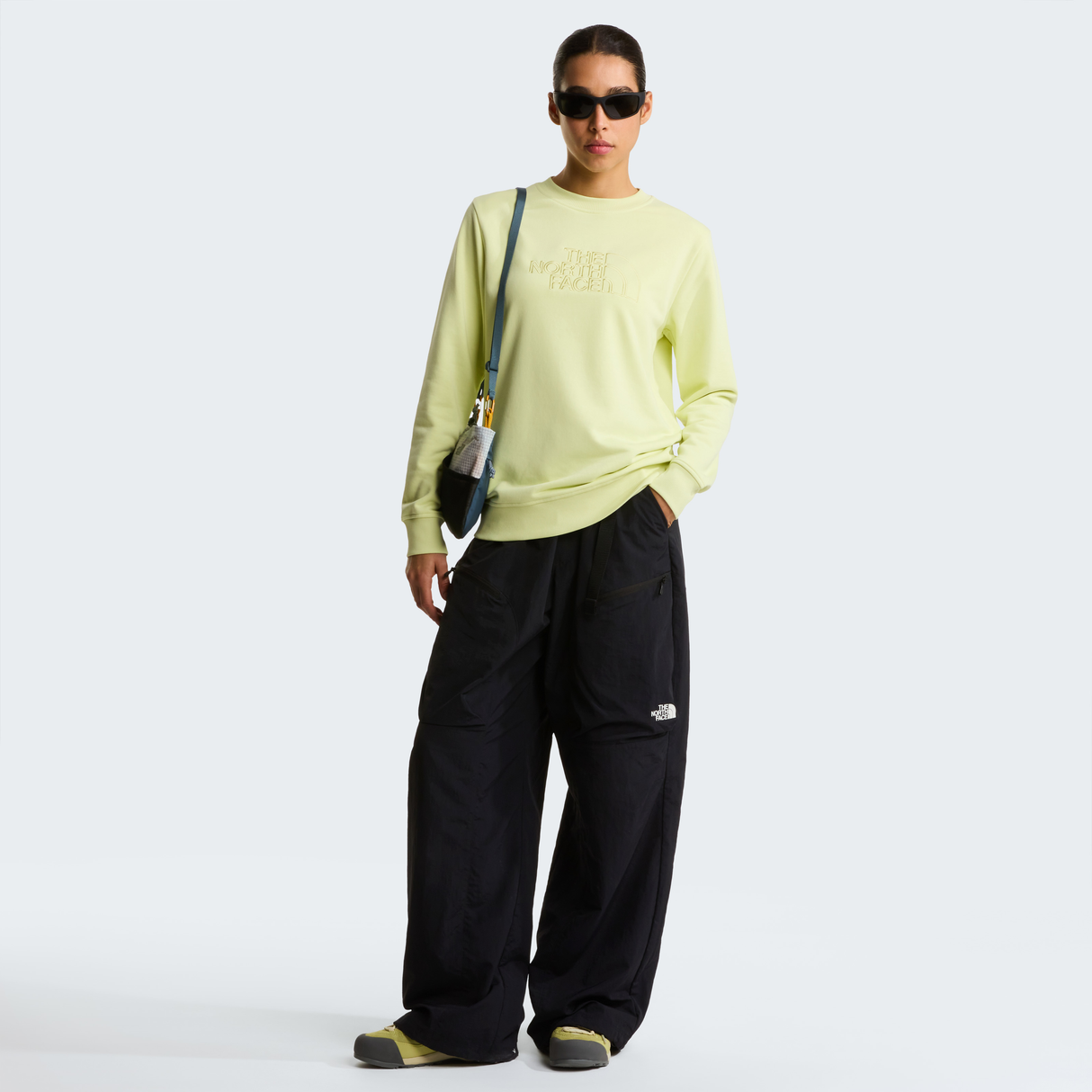 tnf_asset:NF0A8C1EGM4-ALT1