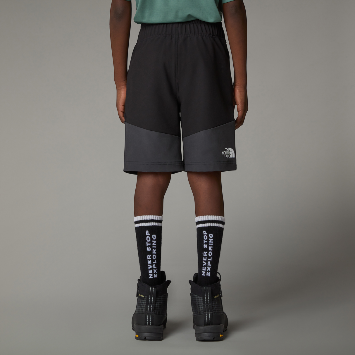 tnf_asset:NF0A8AY2KT0-ALT3