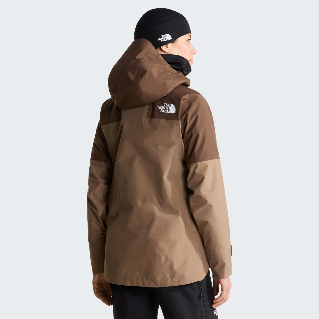 tnf_asset:NF0A8C9RT06-ALT3