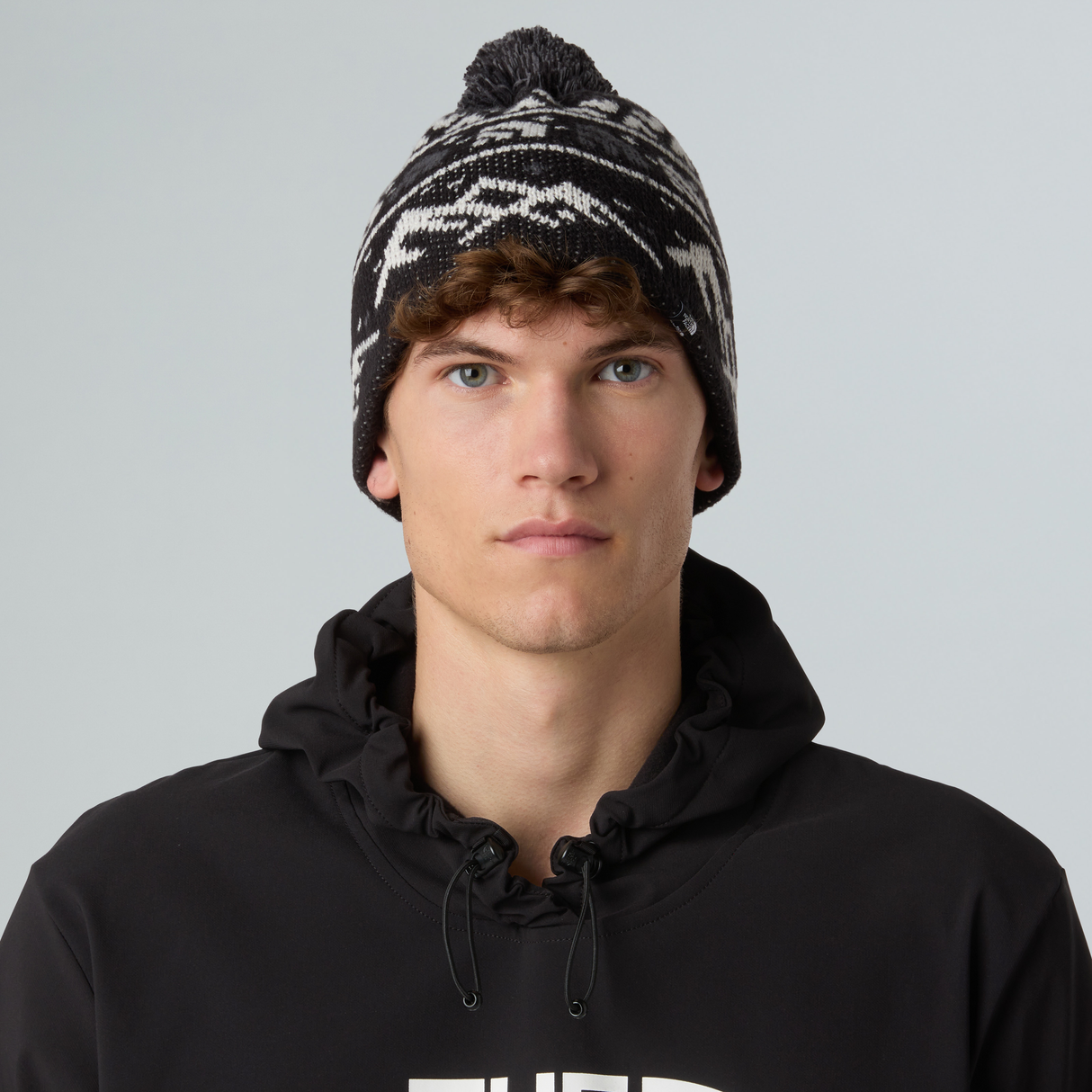 tnf_asset:NF0A8CH0HNF-ALT1
