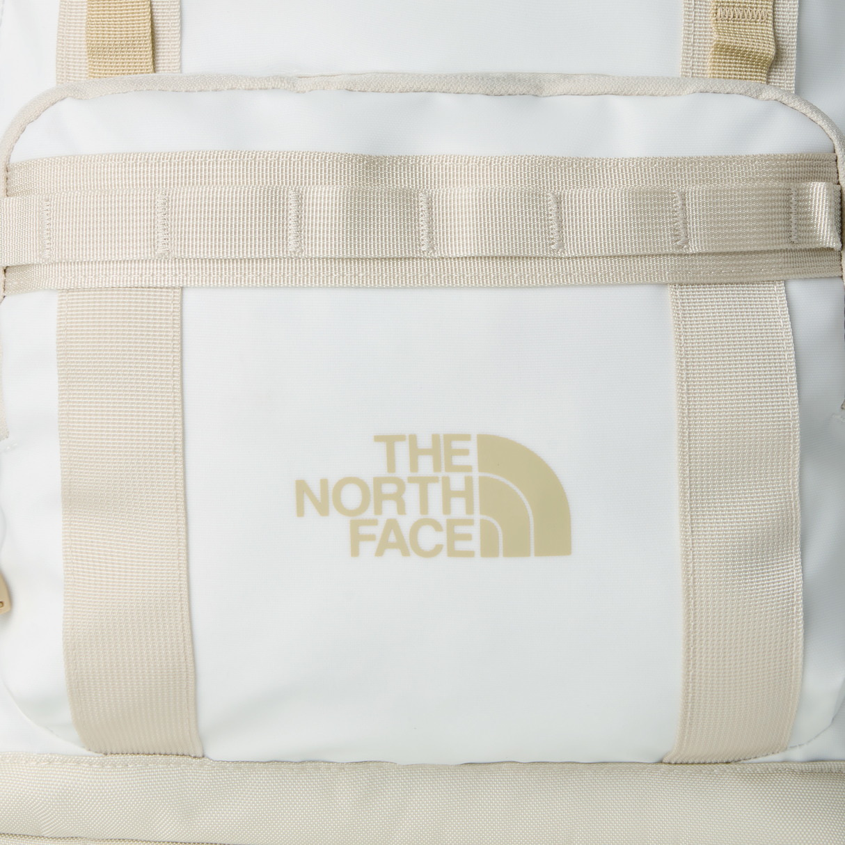 tnf_asset:NF0A8BK4N8V-ALT3