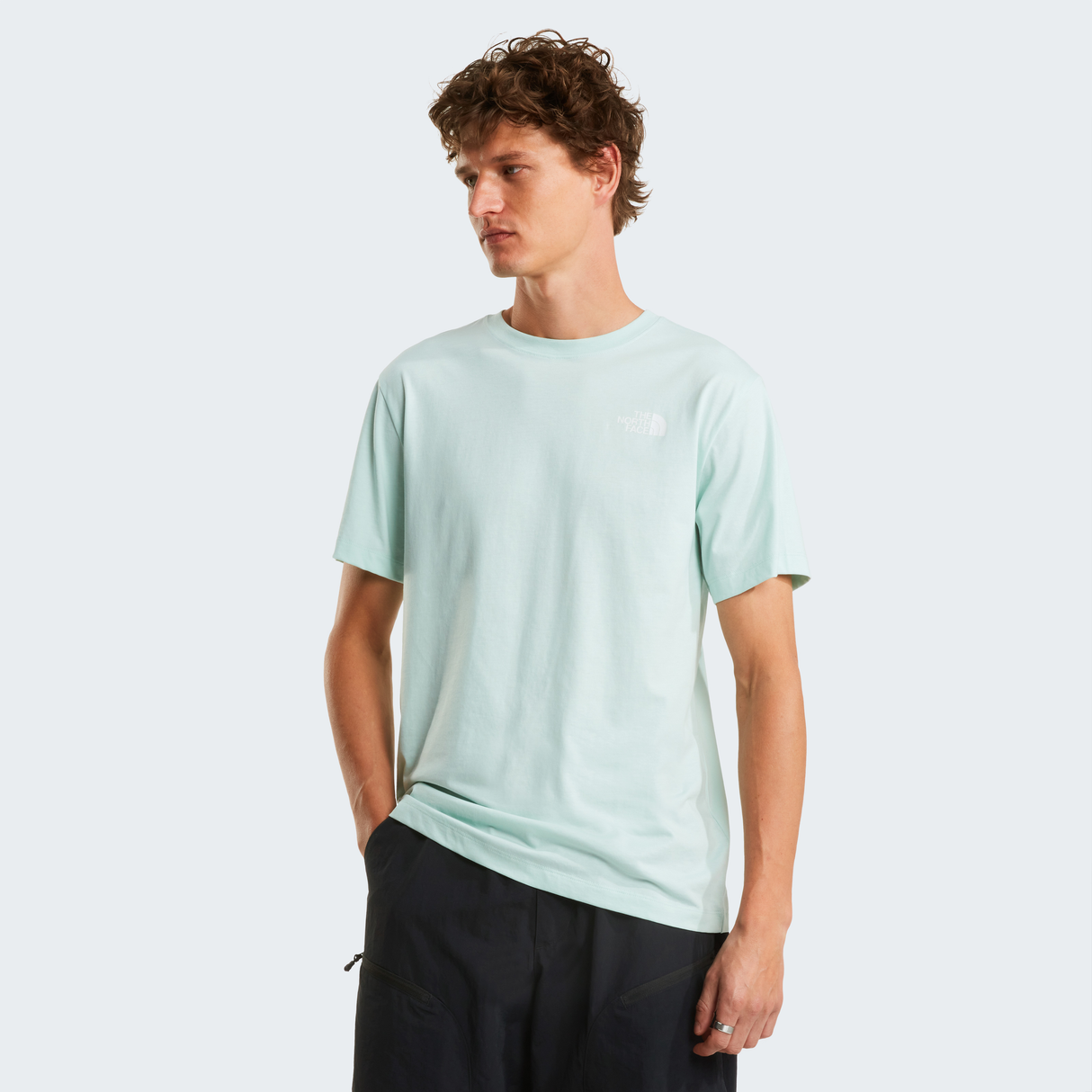 tnf_asset:NF0A8B6KG70-ALT2