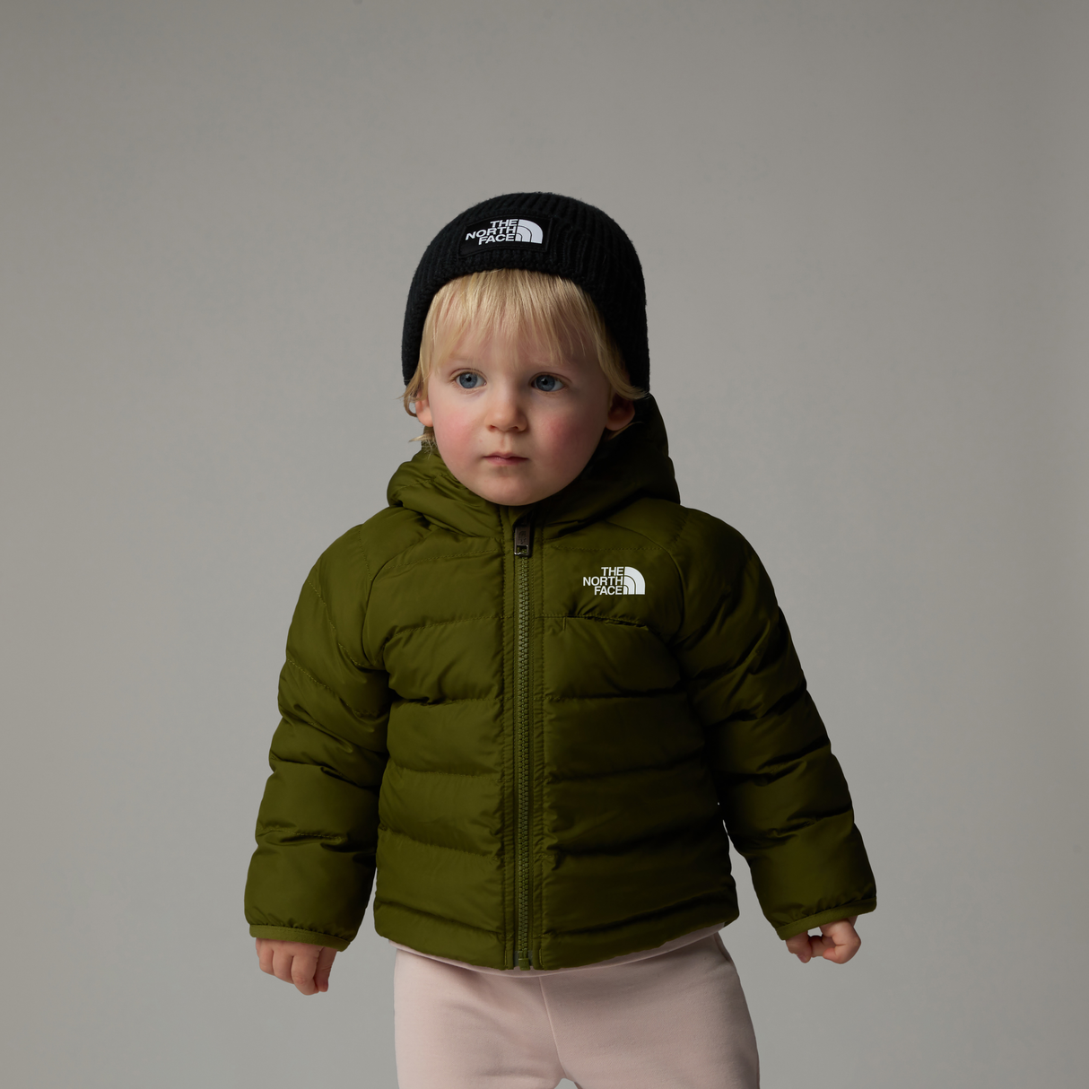 tnf_asset:NF0A88W3PIB-ALT3