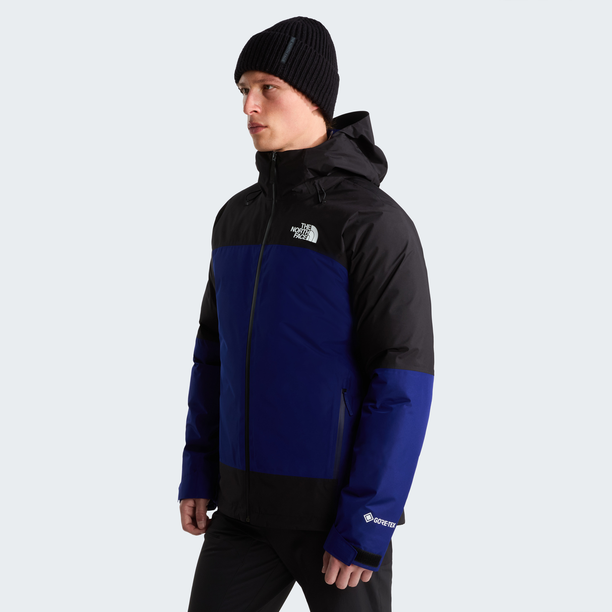 tnf_asset:NF0A84FCRF2-ALT2
