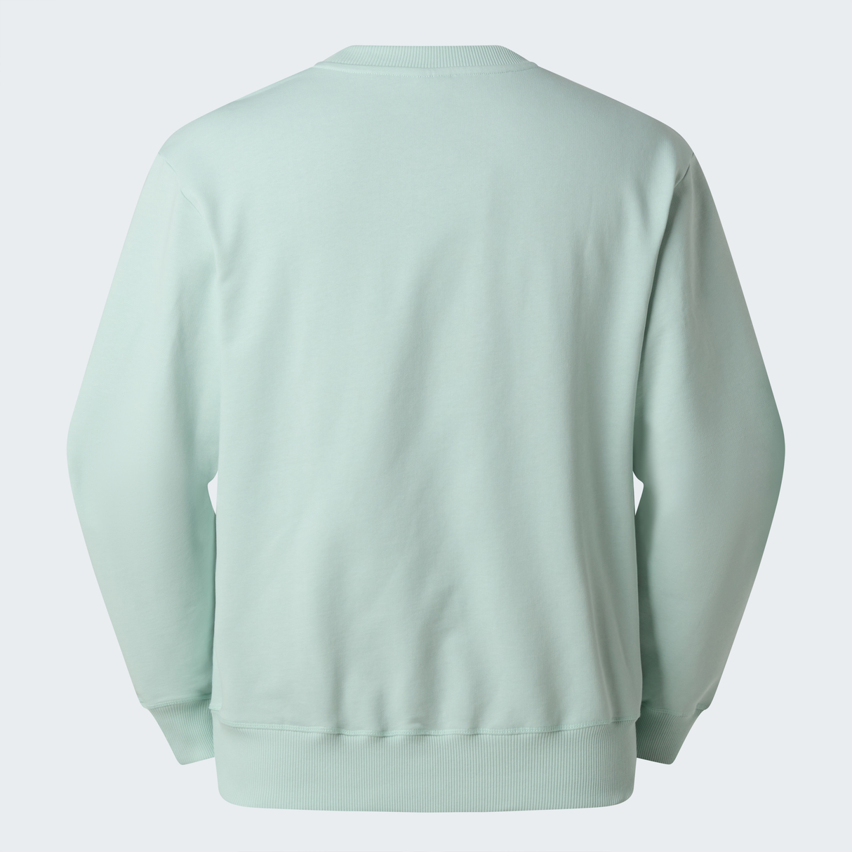 tnf_asset:NF0A8GQCG70-ALT1