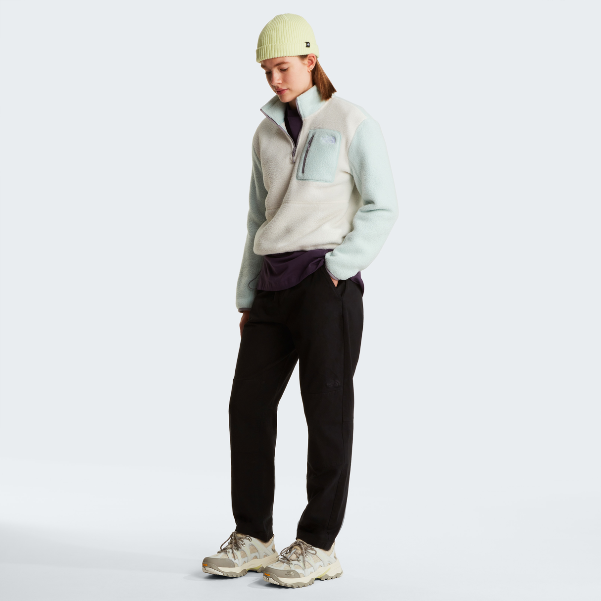 tnf_asset:NF0A8E89M65-ALT1