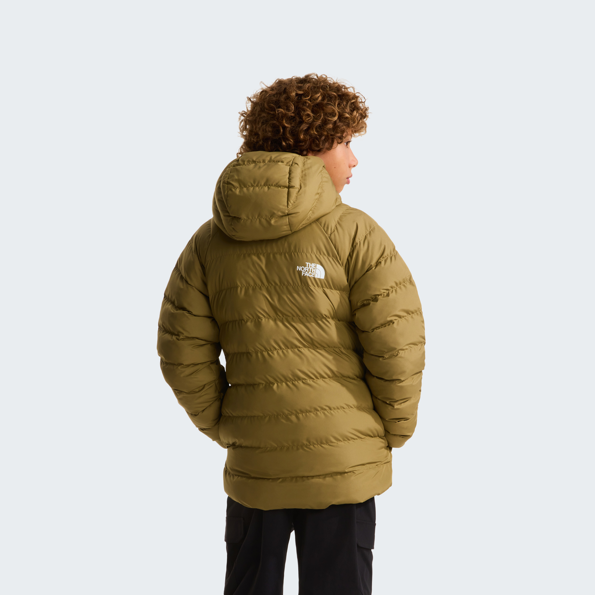 tnf_asset:NF0A88TWJV4-ALT3