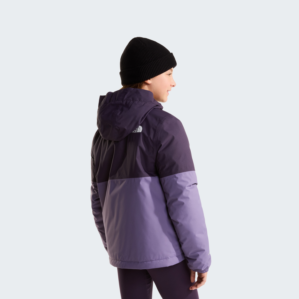 tnf_asset:NF0A873RS1B-ALT3