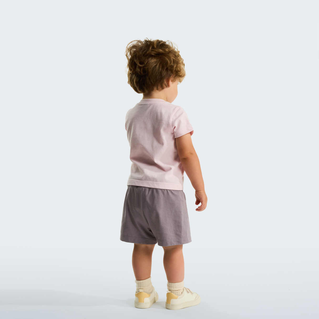 tnf_asset:NF0A8G1DMC1-ALT1