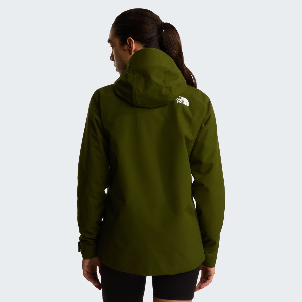 tnf_asset:NF0A8G11BRI-ALT3