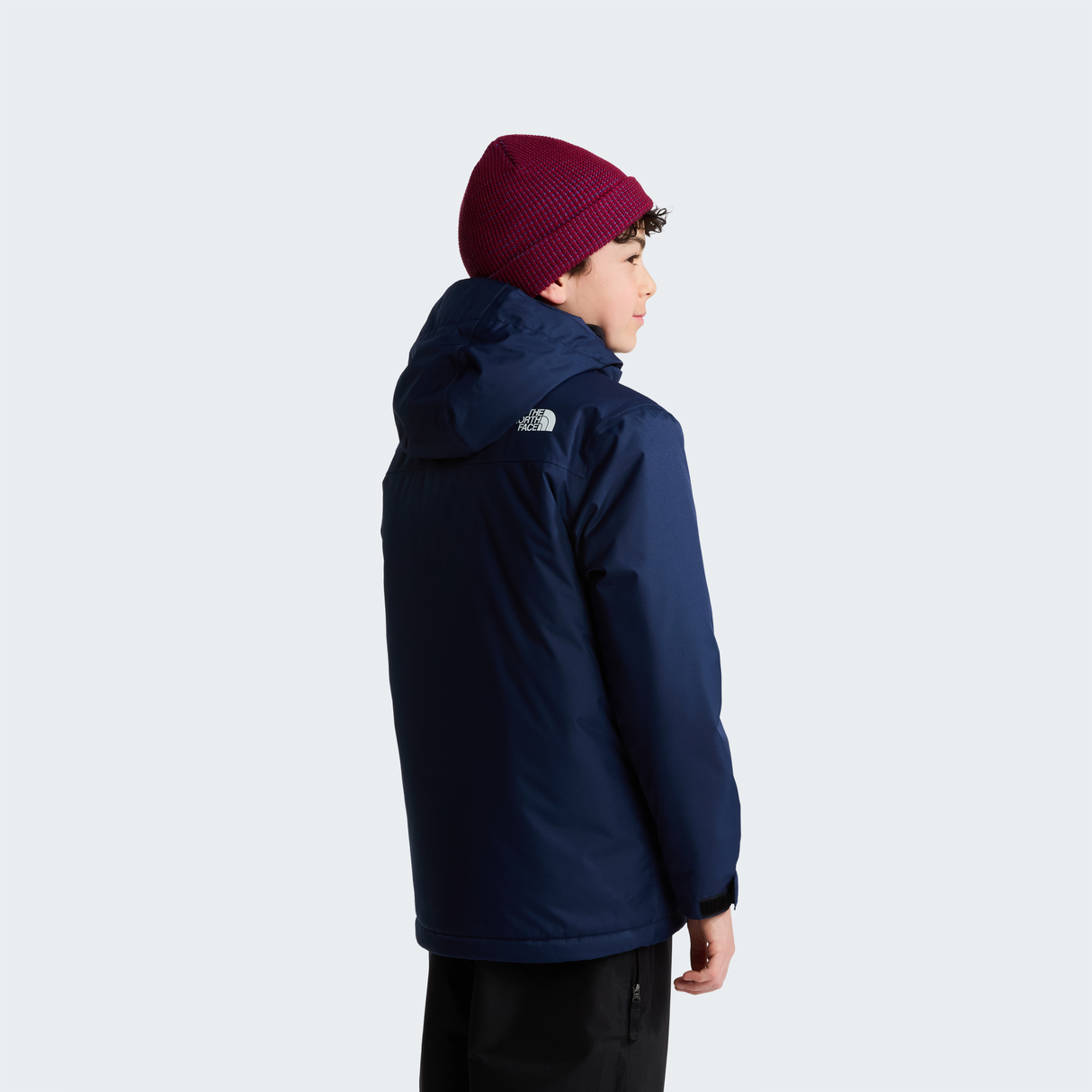 tnf_asset:NF0A8EJQ8K2-ALT3