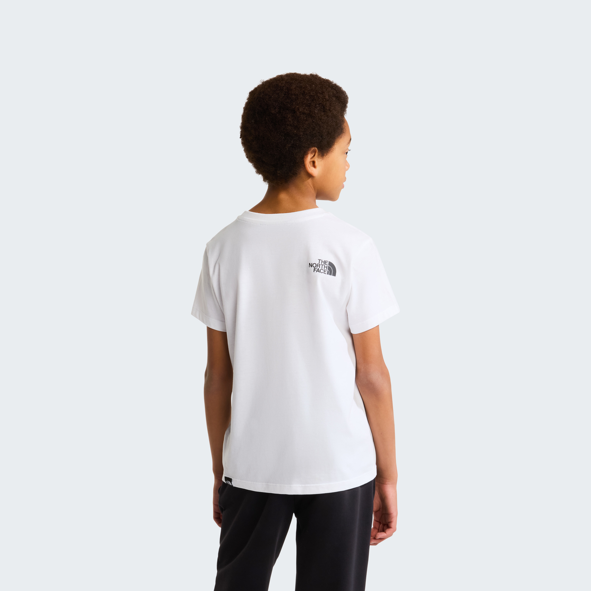tnf_asset:NF0A87T4FN4-ALT3